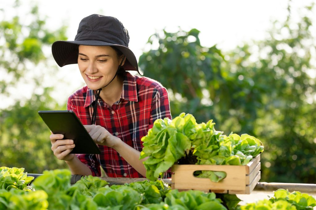 Smart farming using modern technologies in agriculture,Crop monitoring